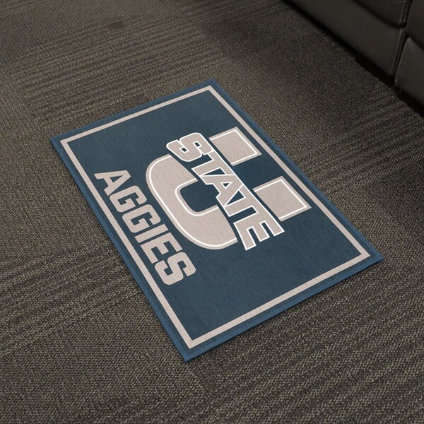 u-state rug 20x30
